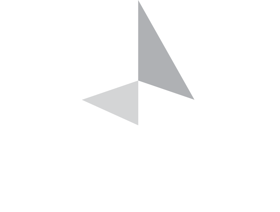 Pinnacle_logo_stack_rev_GS
